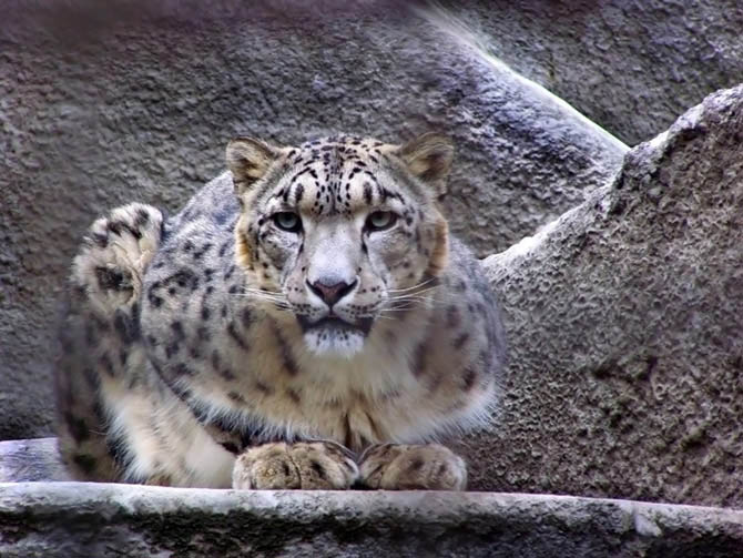 �������, ����� ���������/��������� ��������