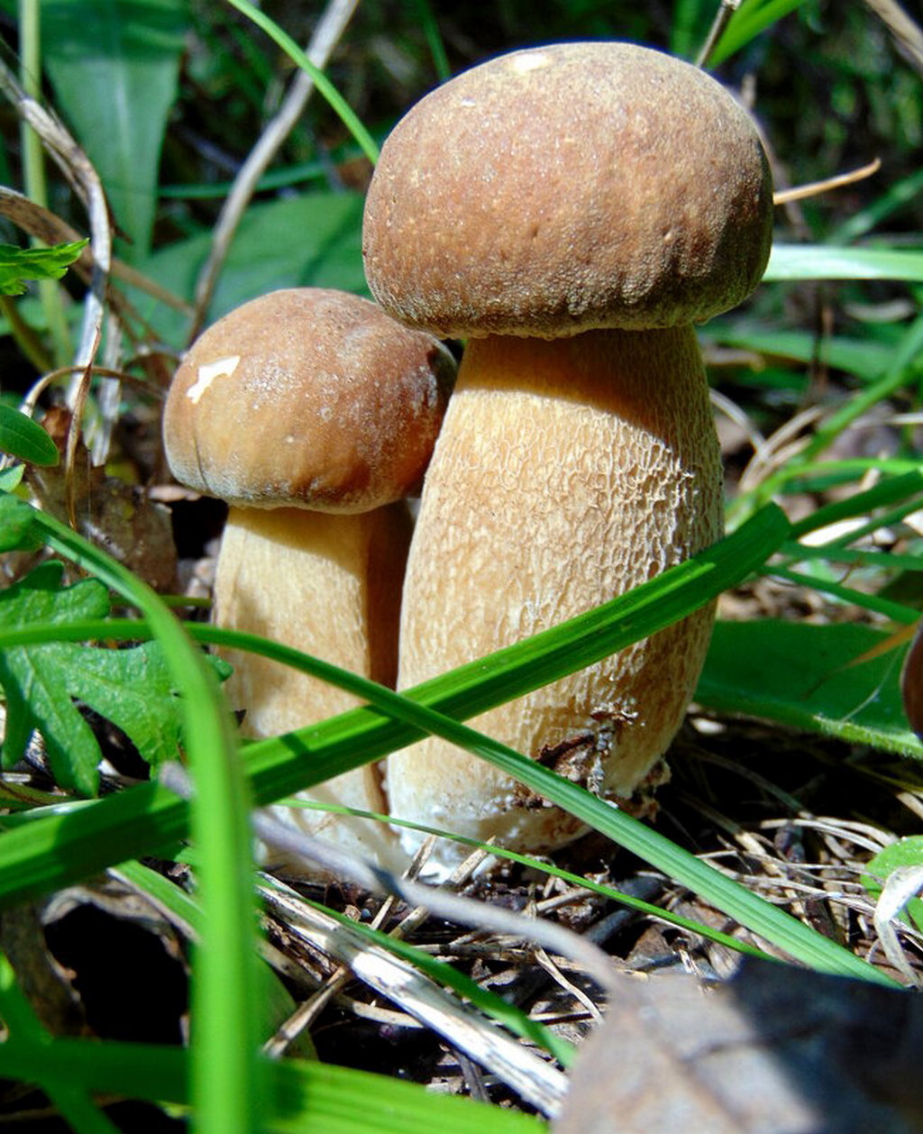 �������, ����� ���������/��������� ��������